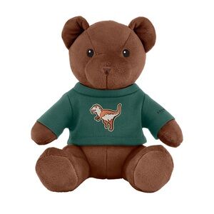 Coach Brown Teddy Bear with Green Sweater